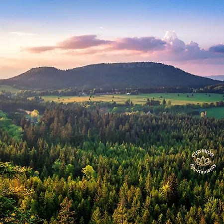 Cud Miod 1 * Kudowa-Zdrój