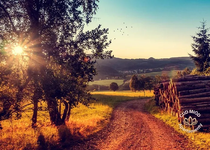 Cud Miod 1 쿠도바-즈루이