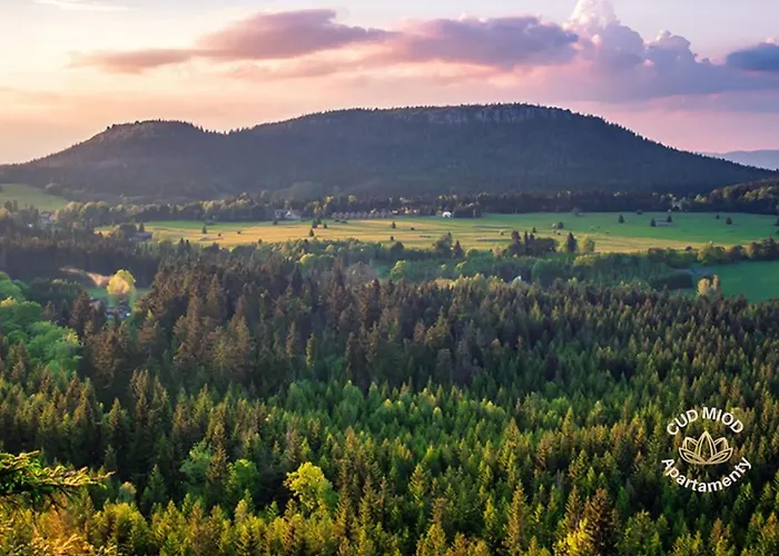 Cud Miod 1 * 쿠도바-즈루이